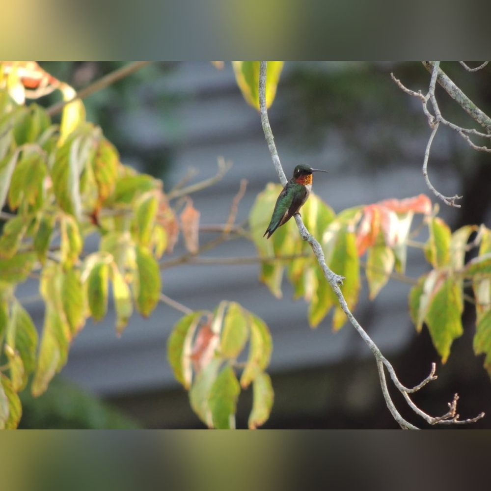 Nature Photos By Lyndsey - Picture 4 of 12